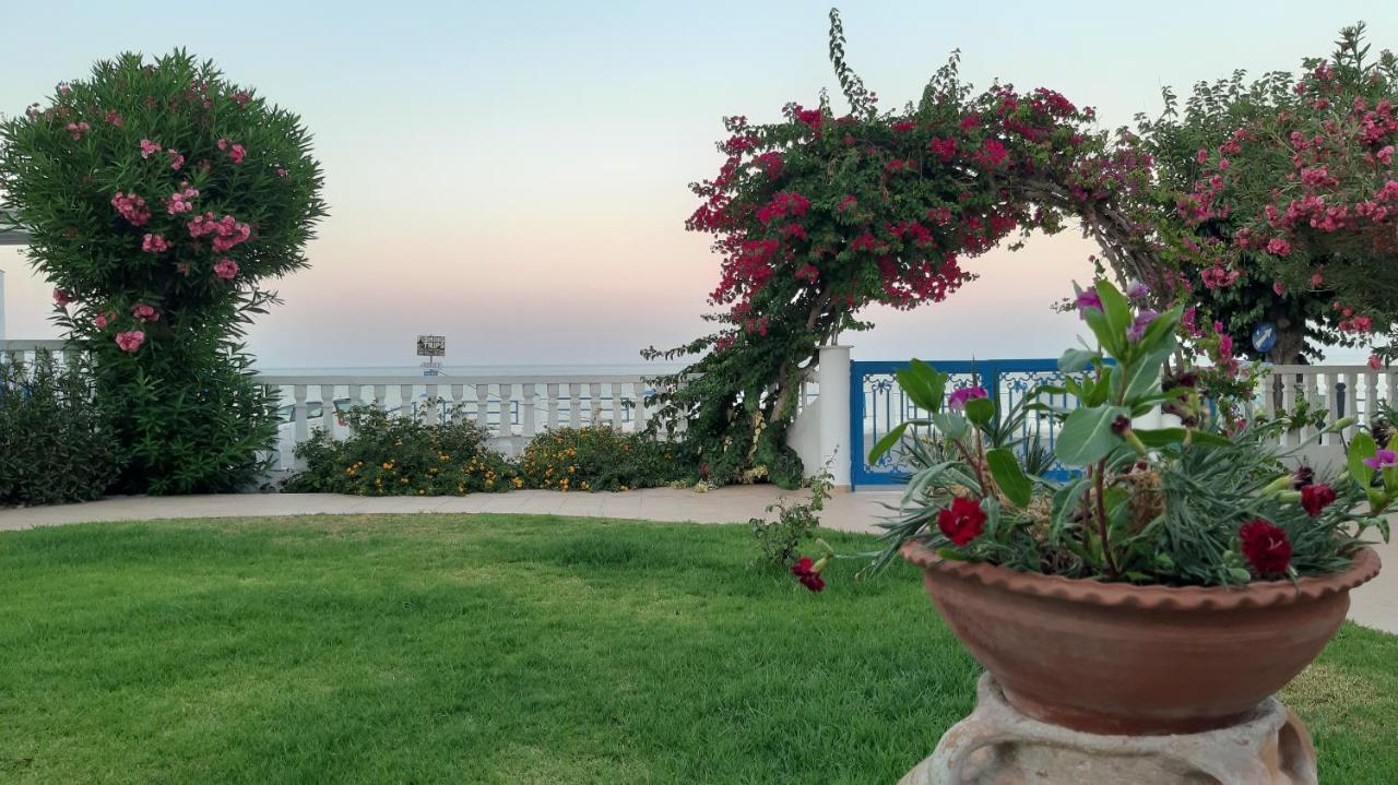 Antonios Apartments Stegna Archangelos  Buitenkant foto