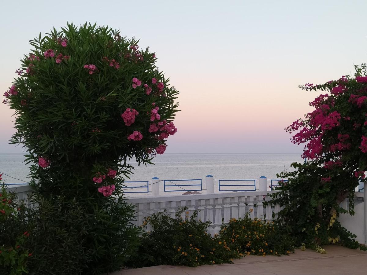 Antonios Apartments Stegna Archangelos  Buitenkant foto